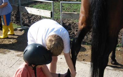 Reiterhof Fraunholz – Ein unvergessliches Erlebnis für unsere Sechstklässler